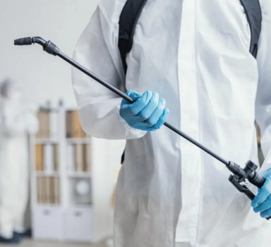 Почему дезинфекция, дезинсекция и дератизация необходимы каждому бизнесу